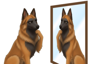 Sage the mascot looking into a mirror to represent reflection