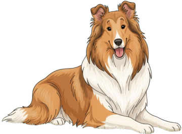 happy dog